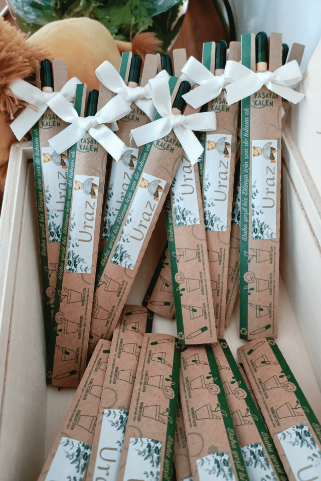 Tohum / Yaşayan Kalem Bebek Hediyelik