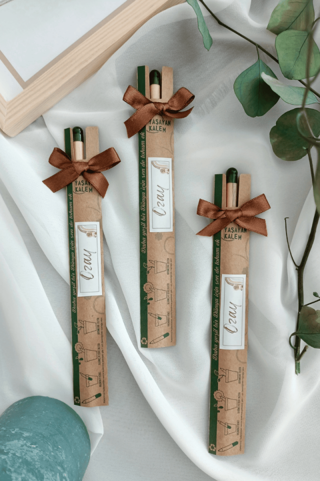 Tohum / Yaşayan Kalem Bebek Hediyelik