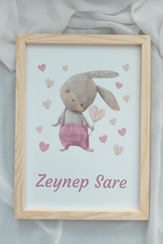 Tavşan Tasarımlı Kız Bebek Kapı Süsü / Pano