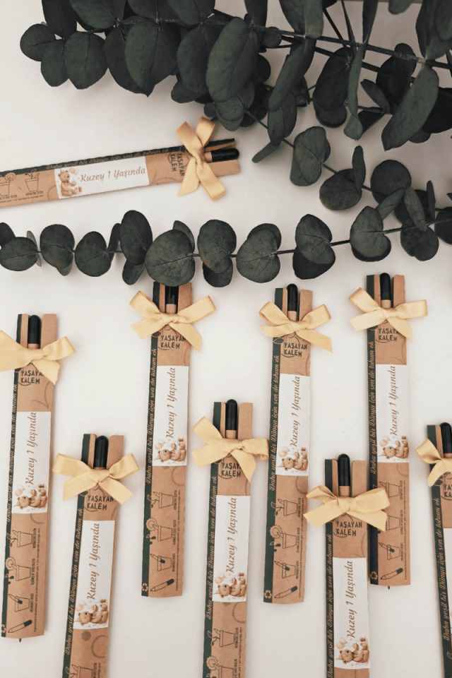 Tohum / Yaşayan Kalem Bebek Hediyelik