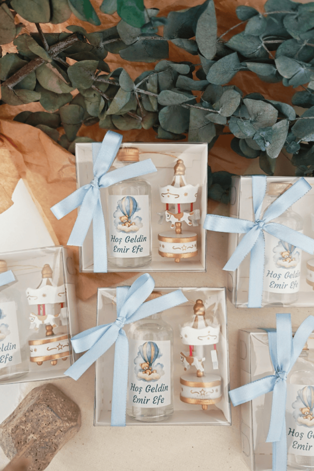 Atlı Karınca & Cam Şişe Kolanya Kutulu Set Erkek Bebek Hediyelik