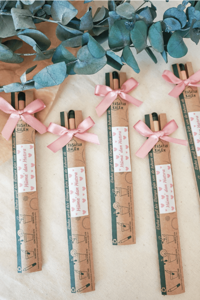 Tohum / Yaşayan Kalem Bebek Hediyelik