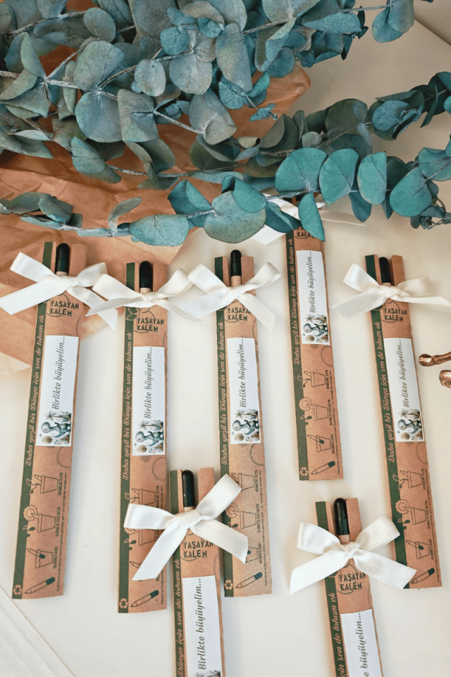 Tohum / Yaşayan Kalem Bebek Hediyelik